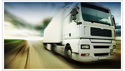 DM SCHNELL LOGISTIC DM SCHNELL LOGISTIC logo